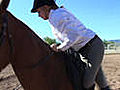 How to Mount and Dismount a Horse | BahVideo.com