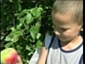 Apple-picking season starting early this year | BahVideo.com
