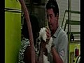 NS FL DOGS RESCUED FIRE | BahVideo.com