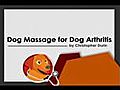 Dog Massage for Dog Arthritis | BahVideo.com