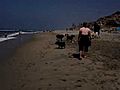 dog beach is tons o fun | BahVideo.com