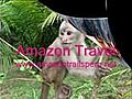 AMAZON TRAVEL | BahVideo.com
