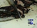 VIDEO BBQ restaurant for Memorial Day | BahVideo.com