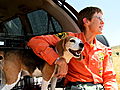 Small Dogs Big Jobs Search and Rescue Beagles | BahVideo.com