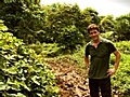 Colombian Jungle Mud | BahVideo.com