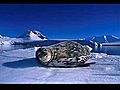 Hamradio from the Antarctica area  | BahVideo.com