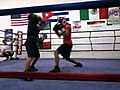 Gigi boxing | BahVideo.com