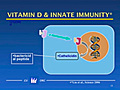 Vitamin D Nutrient Not A Drug | BahVideo.com