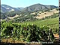 Napa Sonoma Wine Country California | BahVideo.com