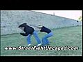 street fighting moves techniques | BahVideo.com