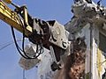 Crane Munching02 Stock Footage | BahVideo.com