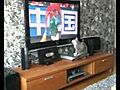 Funny cat watching football | BahVideo.com