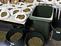 RBT leads to drug haul | BahVideo.com