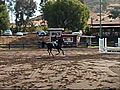 Pharo s First Jumping Class | BahVideo.com