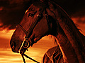 War Horse - Trailer No 1 | BahVideo.com