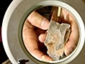 Eye spy a fossil | BahVideo.com