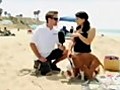 Fun In The Sun At Huntington Dog Beach | BahVideo.com