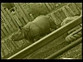 Zoo Keeper | BahVideo.com