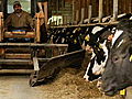 Dean of Invention How Cow Waste Generates  | BahVideo.com