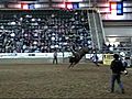 Bull Charges Into Rodeo Crowd | BahVideo.com
