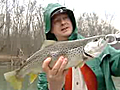 Cumberland Trout Fishing | BahVideo.com