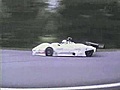 Ciervo atropellado por un coche de carreras | BahVideo.com