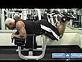 Weight Lifting Exercises for Beginners Leg Curls Weight Lifting Exercise for Beginners | BahVideo.com
