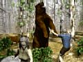Yellowstone National Park Bear Attack Hiker Dead | BahVideo.com