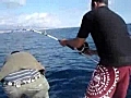 extreme fishing pesca de atun 35 kilos gran canaria | BahVideo.com