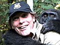 Animals Extraordinary Gorilla Encounter Explained | BahVideo.com