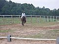 5-20-10 Lesson - Dressage - First Time  | BahVideo.com