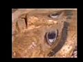 Egypt - Mummies of Gold | BahVideo.com