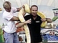 Snake Gets Too Close to Meteorologist | BahVideo.com