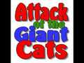 Attack of the Giant Cats  | BahVideo.com