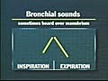 Normal and Adventitious Breath Sounds | BahVideo.com