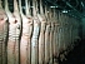 Raccolta D Inverno Winter s Harvest 1979 - Clip 3 Porcine processing | BahVideo.com