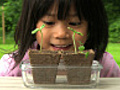 Little Asian Girl Admiring Her Plants | BahVideo.com