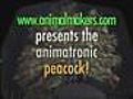 Animatronic Peacock Motion Test | BahVideo.com