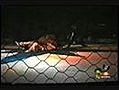 leeuw valt man aan | BahVideo.com