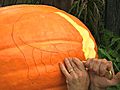 Carve Your Own Animal Pumpkin | BahVideo.com