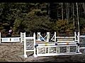 DA BowFlex Horse For Sale | BahVideo.com