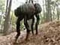 Il mulo-robot | BahVideo.com