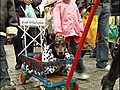 Sausage dogs steal the show in Polish parade | BahVideo.com