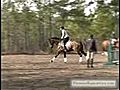 Horse Jumps - Horse Jump | BahVideo.com