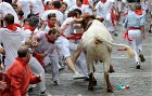First running of the bulls in Pamplona | BahVideo.com