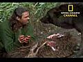 National Geographic Channel A Man Among  | BahVideo.com