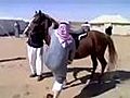 Funny Arab With Hors | BahVideo.com