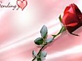 Red Rose | BahVideo.com