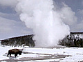 Yellowstone | BahVideo.com
