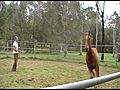 women training horses | BahVideo.com